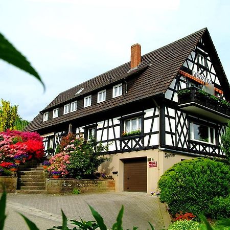 Pension Am Weinberg Sasbachwalden Exteriér fotografie
