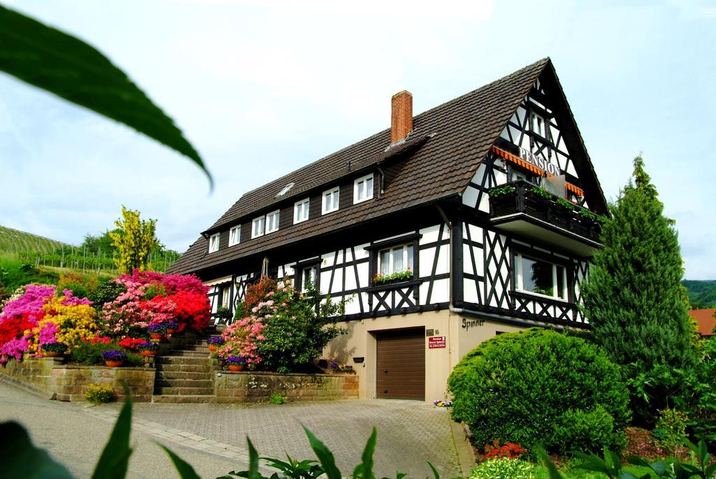 Pension Am Weinberg Sasbachwalden Exteriér fotografie